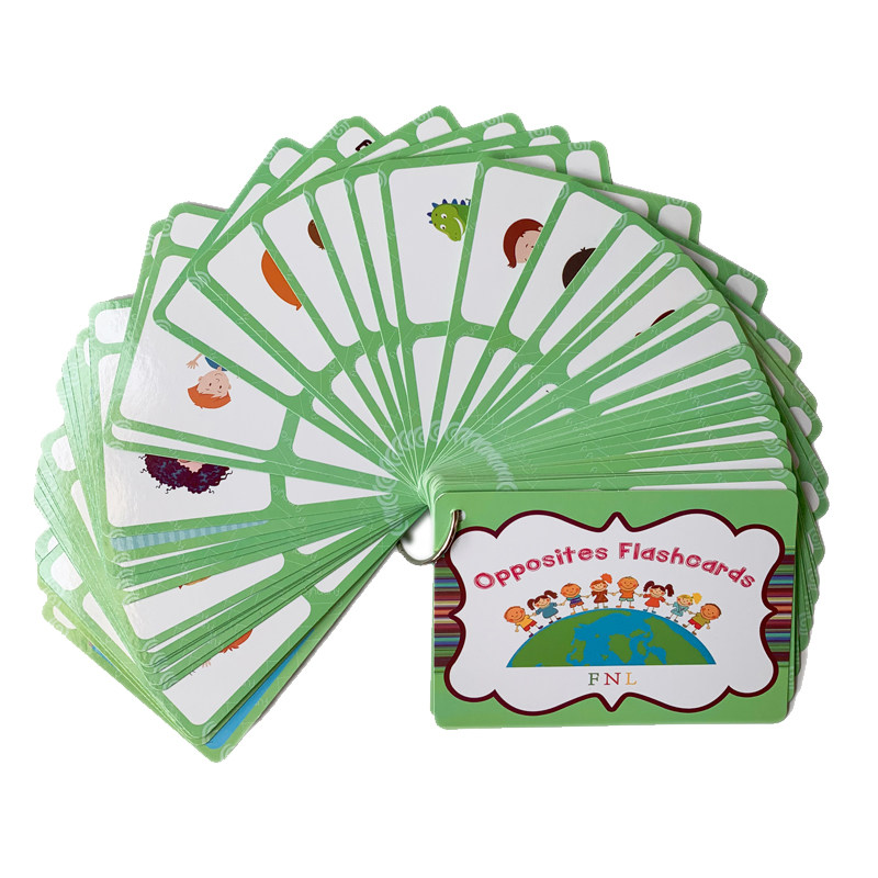 The 100 Groups Opposites Flash - Kids Education In Us บทวิจารณ์และราคา