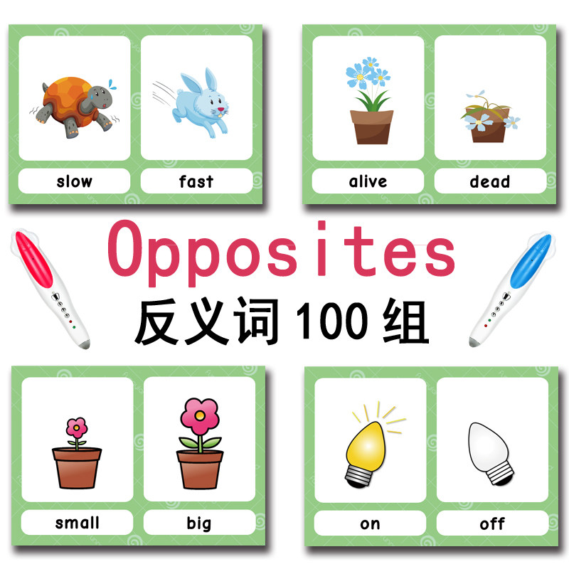 The 100 Groups Opposites Flash - Kids Education In Us บทวิจารณ์และราคา