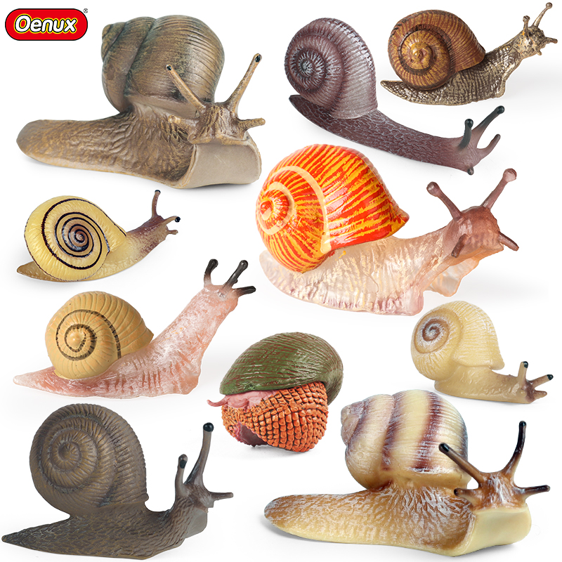 Oenux Wild Insect Animals Snai - Kids Educational Box บทวิจารณ์และราคา