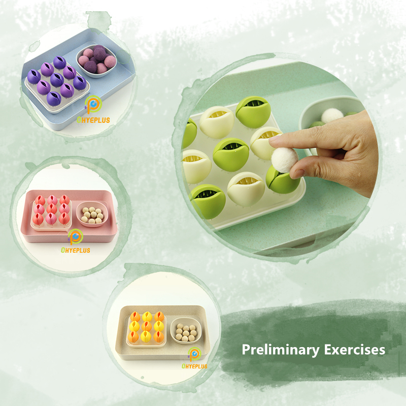 Montessori Educational Toys Ba - Kids Educational Game 3 บทวิจารณ์และราคา
