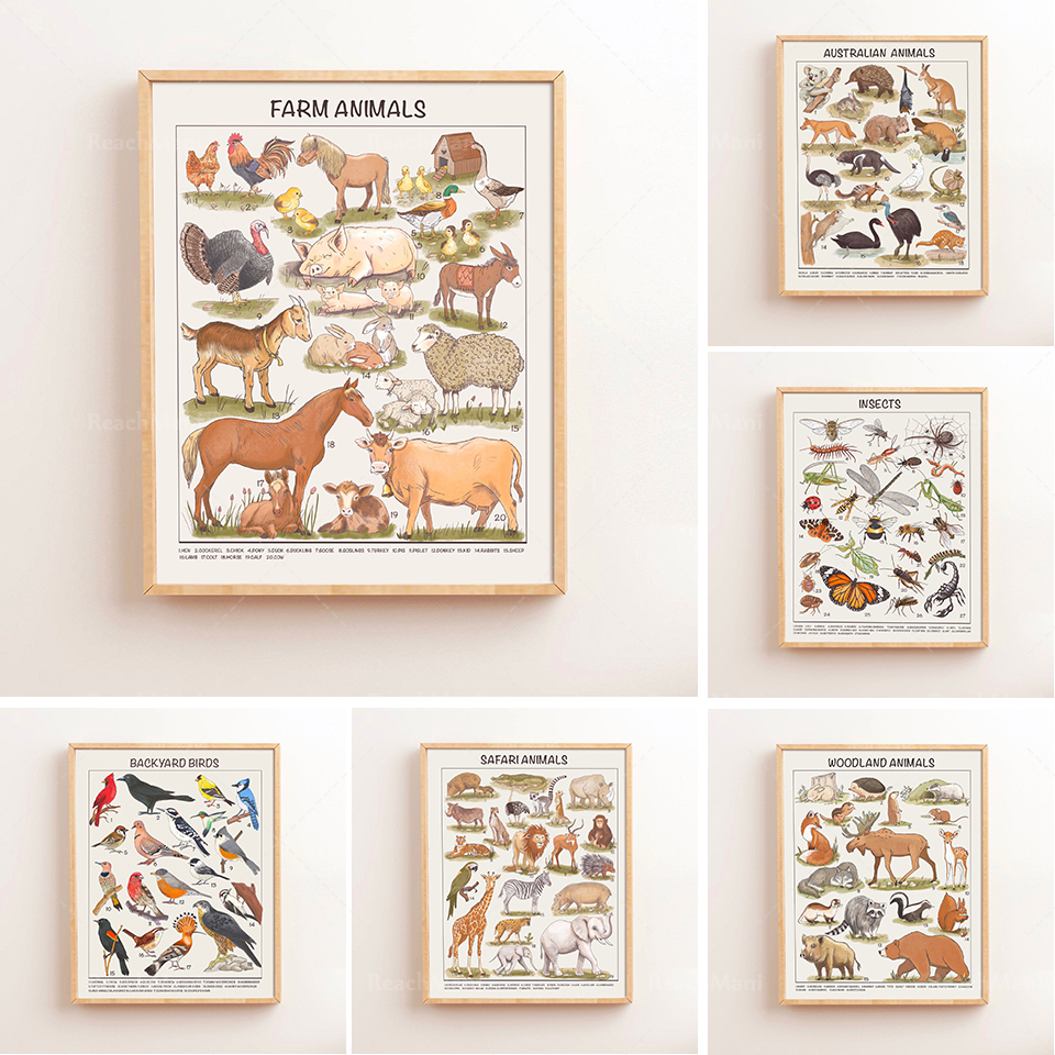 Safari Animals Educational Pos - Kids Education Download บทวิจารณ์และราคา