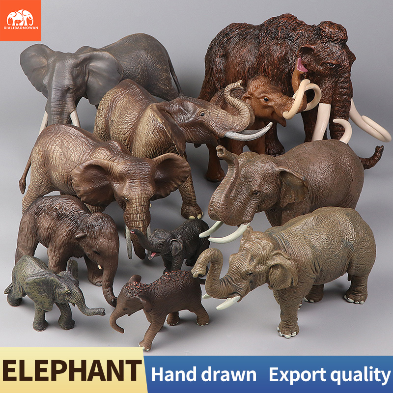African Wild Animals Big Mammo - Kids Educational Box บทวิจารณ์และราคา