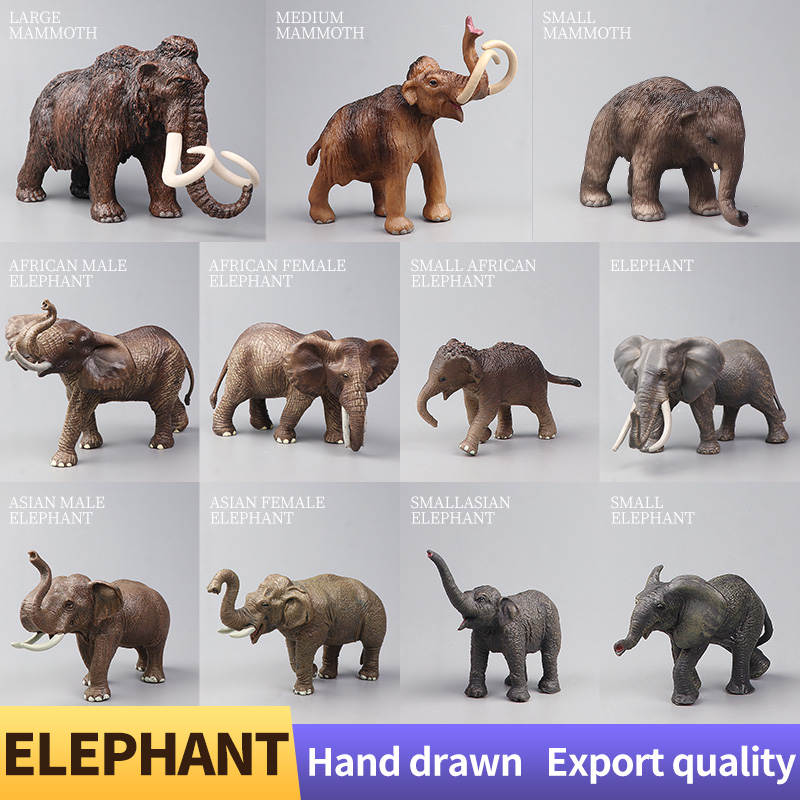 African Wild Animals Big Mammo - Kids Educational Box บทวิจารณ์และราคา