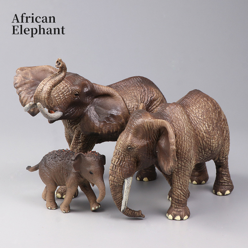 African Wild Animals Big Mammo - Kids Educational Box บทวิจารณ์และราคา
