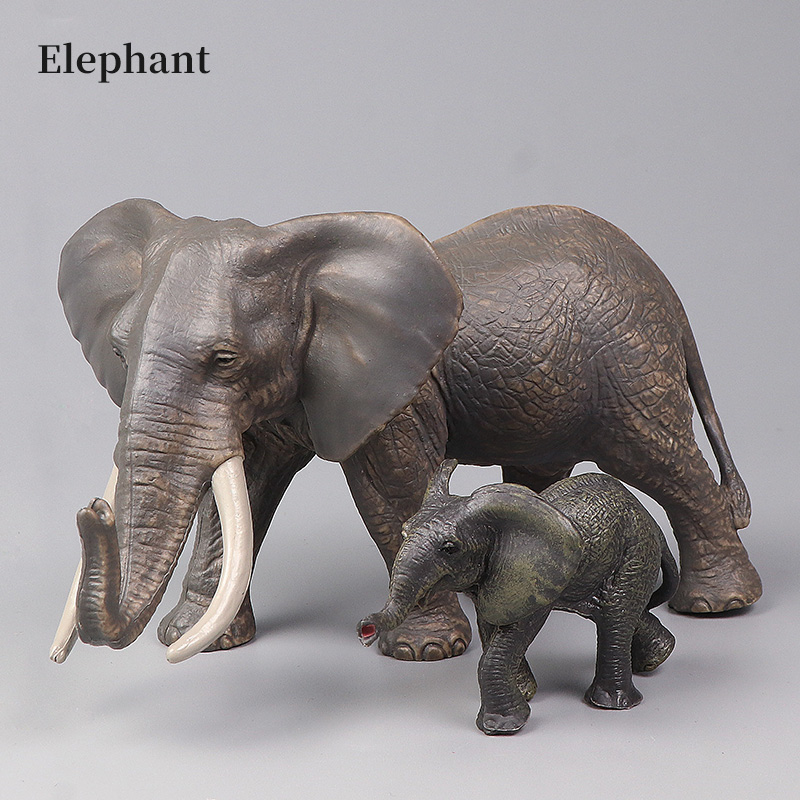 African Wild Animals Big Mammo - Kids Educational Box บทวิจารณ์และราคา