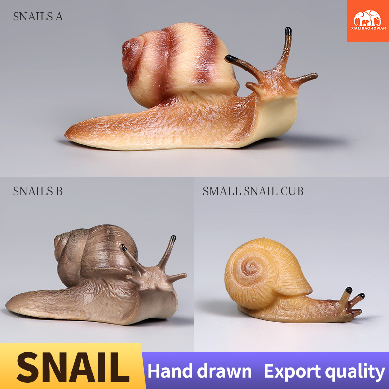 Educational Snail Action Figur - Kids Educational Box บทวิจารณ์และราคา