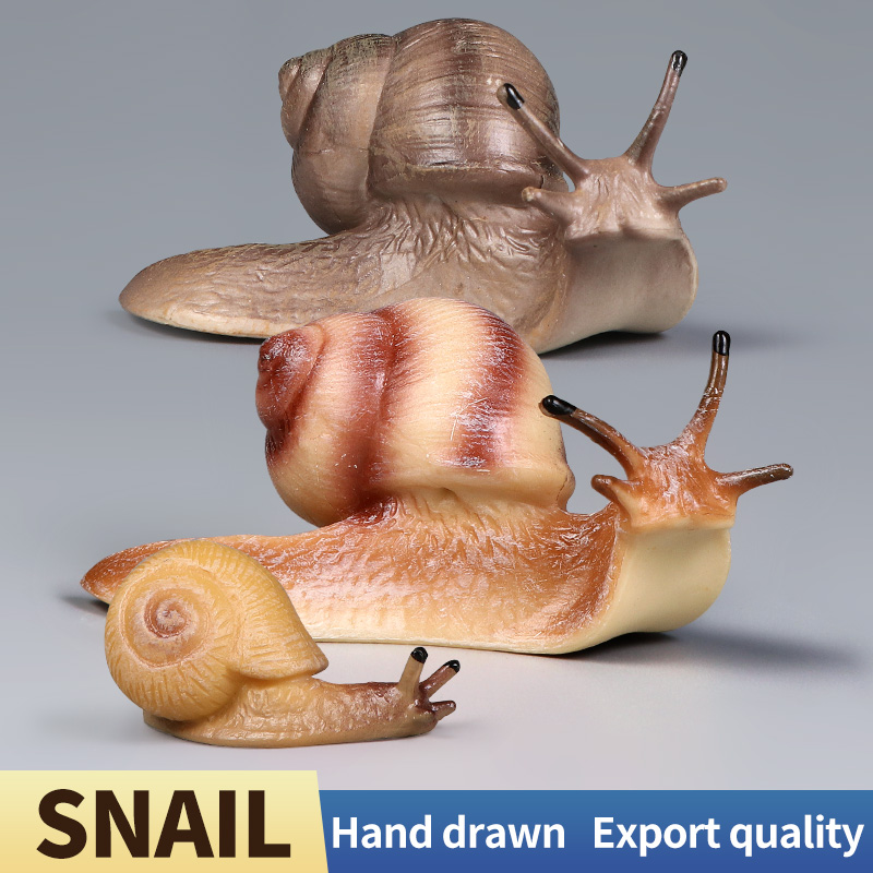 Educational Snail Action Figur - Kids Educational Box บทวิจารณ์และราคา