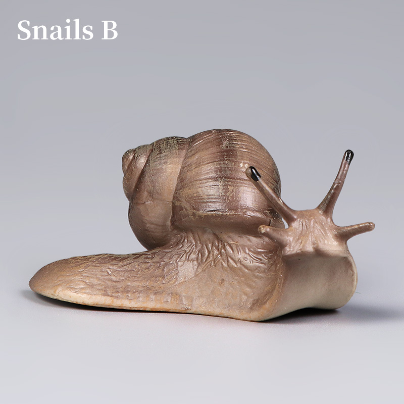 Educational Snail Action Figur - Kids Educational Box บทวิจารณ์และราคา