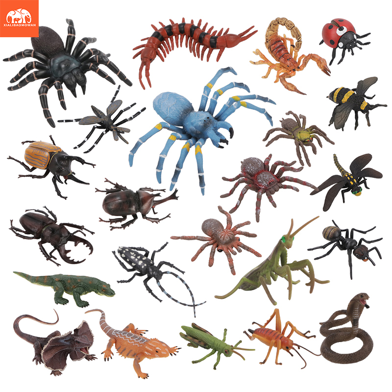 Educational Simulation Insect  - Kids Educational Box บทวิจารณ์และราคา