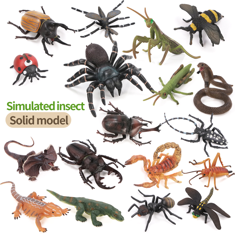 Educational Simulation Insect  - Kids Educational Box บทวิจารณ์และราคา