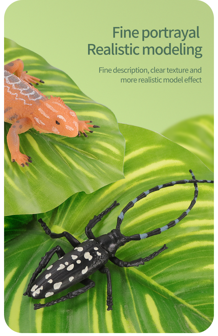 Educational Simulation Insect  - Kids Educational Box บทวิจารณ์และราคา
