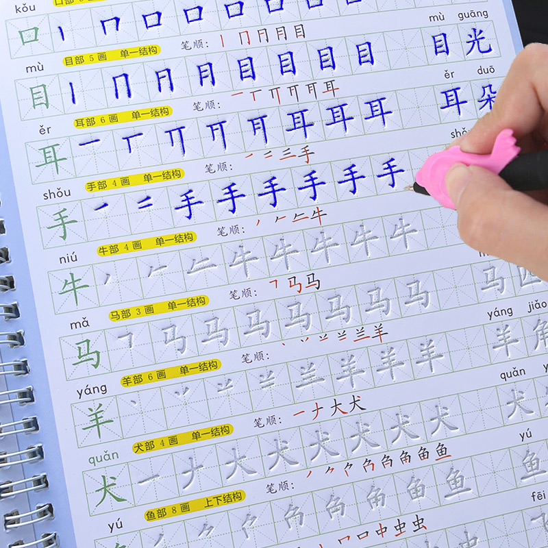 The Copybook Kids Book Learnin - Kids Education In Us บทวิจารณ์และราคา